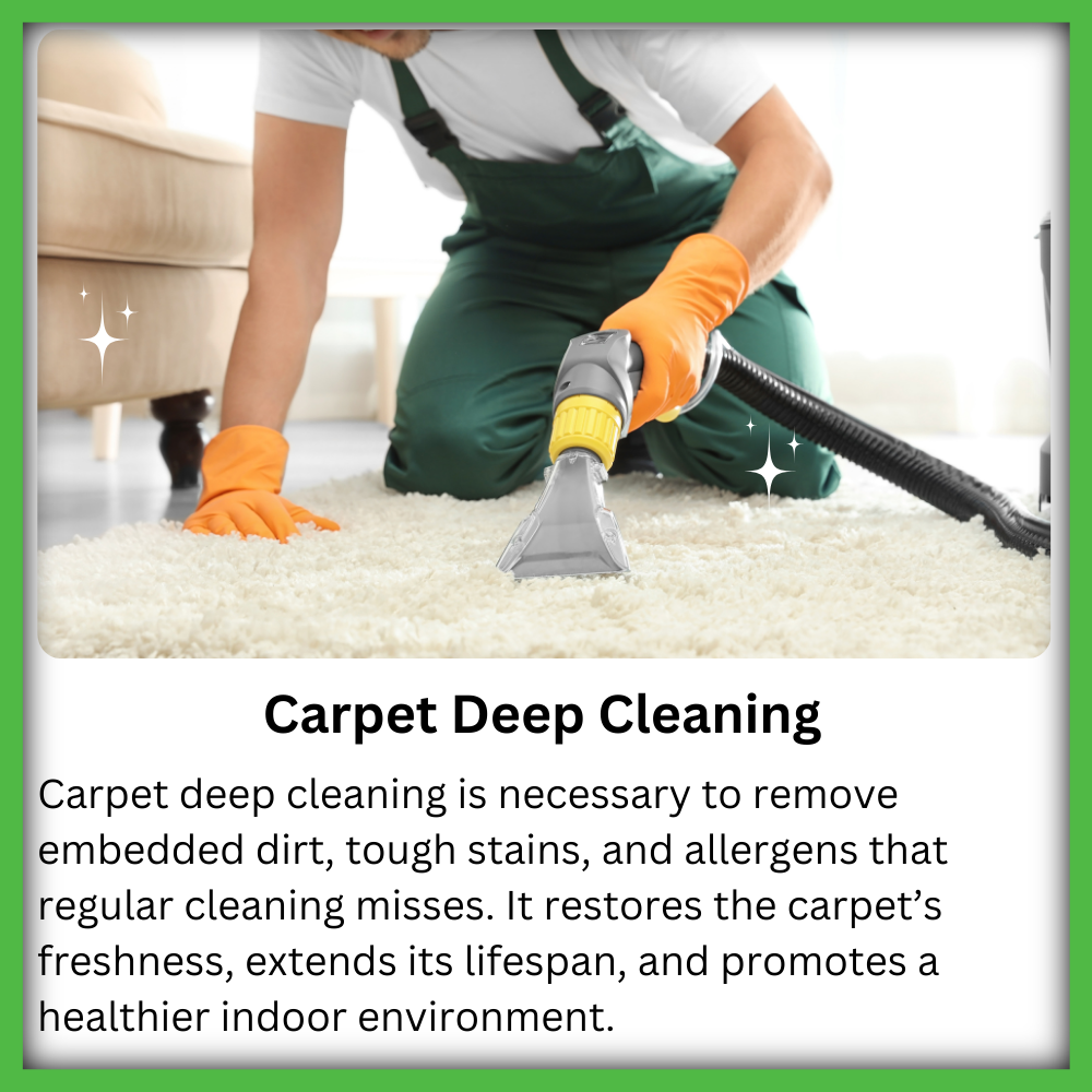 Carpet Deep cleaning service in Houston