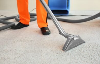 Professional carpet cleaning services in Houston