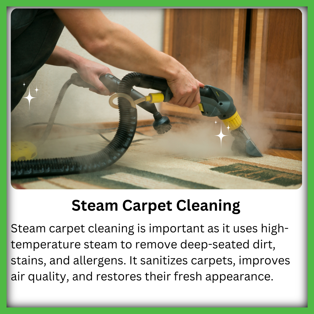 Steam Carpet cleaning service in Houston